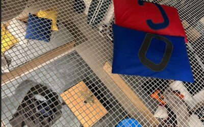 Belle année 2026 à tous !