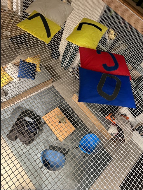 Belle année 2026 à tous !